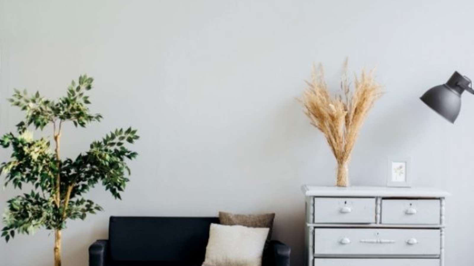 alexandra-gorn-485551-unsplash-637x579